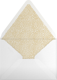 Flaunt - Kelly Wearstler Envelope