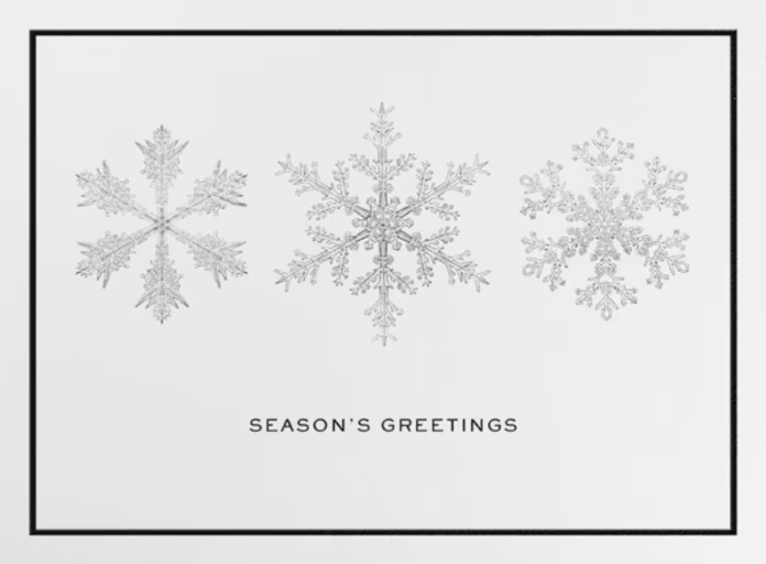 Snowflake Seasons Greetings - Business Holiday Card by Paperless Post