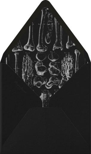 Cranium - John Derian Envelope