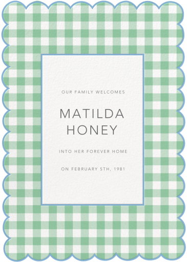 Gingham Shower - Adoption Announcement by Meri Meri