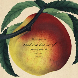 Large Peach by John Derian