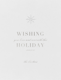 Descartes Fixed - Holiday Card by Paperless Post
