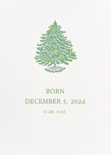 Holly and Ribbon Photo (Holly Hollon) - Birth Announcement by Dogwood Hill - Back