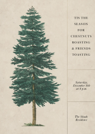Tall Tree by John Derian