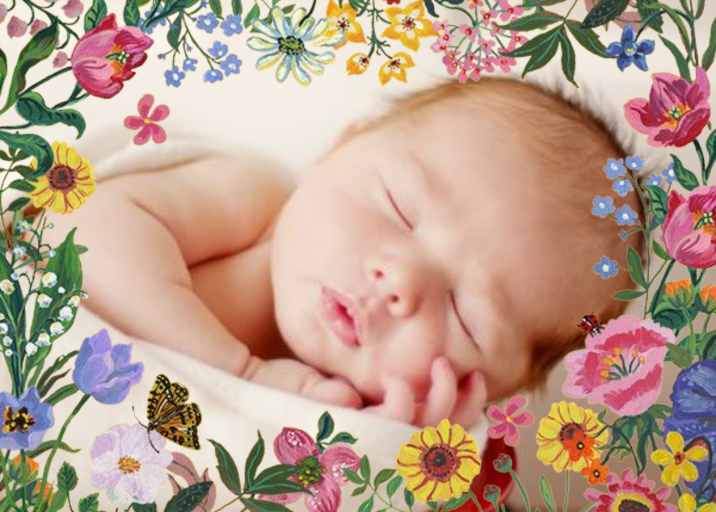 Precieuse - Birth Announcement by Nathalie Lété