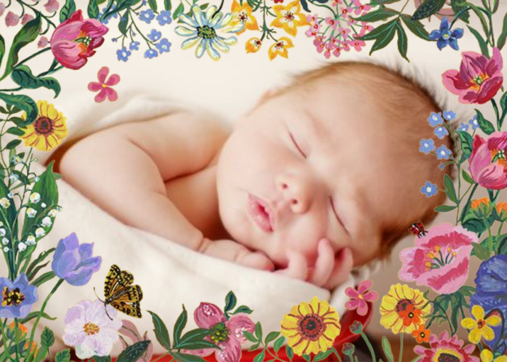 Precieuse by Nathalie Lété