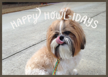 Howliday Best (Photo) by Derek Blasberg