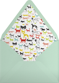 Go Get Em Tiger - Mr. Boddington's Studio Envelope