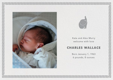 Baby Elephant Adler - Greeting Card by Jonathan Adler