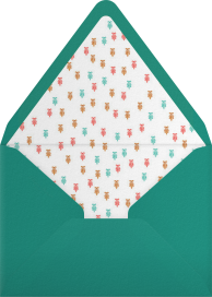 Miss Anupama - Mr. Boddington's Studio Envelope