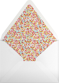 Bubbly Border - Mr. Boddington's Studio Envelope