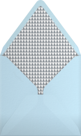 Photo Party - Mr. Boddington's Studio Envelope