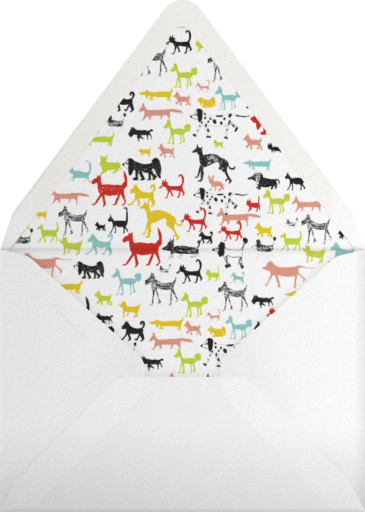 Calling all Dogs - Mr. Boddington's Studio Envelope