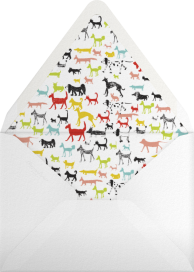 Calling all Dogs - Mr. Boddington's Studio Envelope