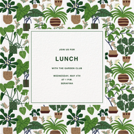 House Plant by Marimekko