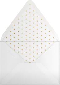 Surprise Stripe - Sugar Paper Envelope
