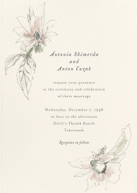 Wildflower Lines by Carly Kuhn