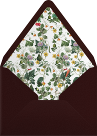 Demeter - Stephanie Fishwick Envelope