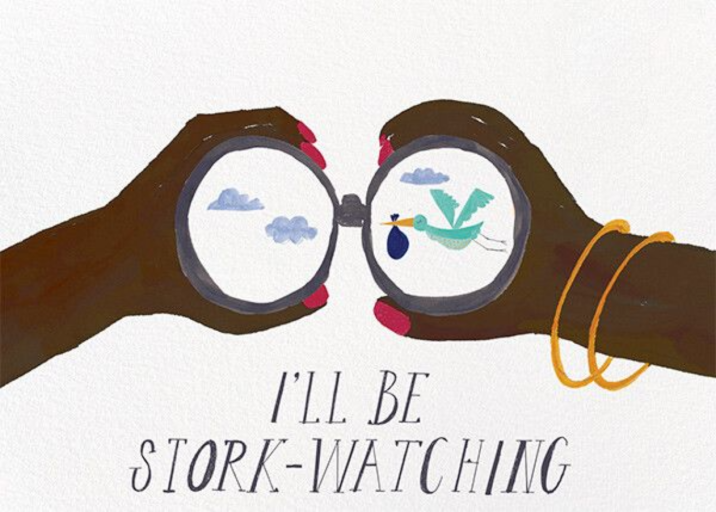 Stork Watch by Mr. Boddington's Studio